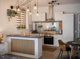 Apartman NOA