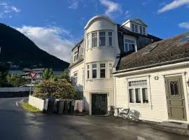 Cozy Apartment - Heart of Voss - Free Parking