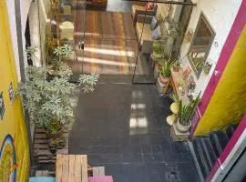 Maison Verte - Budget Edition
