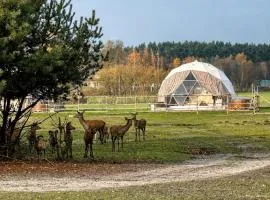 Ranczo Targówka - Domki i Glamping z balią i sauną wśród natury i zwierząt