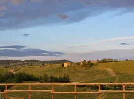 Ca' Sinoira