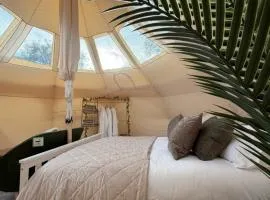Nos Da Stargazer Belle Tent