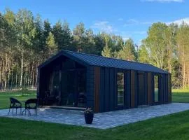Domek pod brzozami