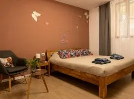 Pallanza Courtyard Apt