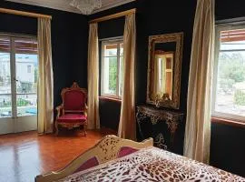 IRIS baroque apartment