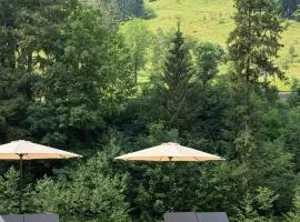 Ultra house будиночки в лісі біля гірської річки