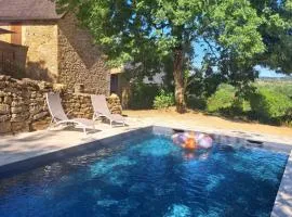 Instant Lot Maison pierre insolite Piscine Nature