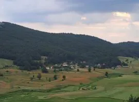 Suvi Vrh mountain cabin