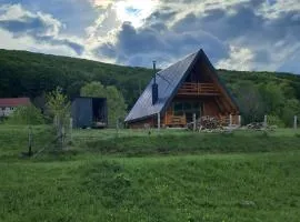 Suvi Vrh mountain cabin