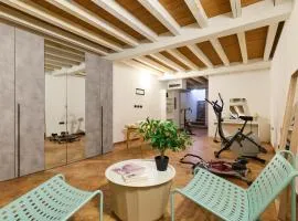 Violin Suite Cremona In the Historical Center