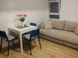 Dora apartment