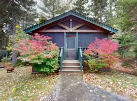 Comfortable dog-friendly cabin with fireplace & kitchenette near hiking trails