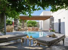 SeaSalt Dream Villa,Santa Maria 5 min from Naousa