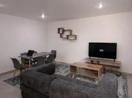 Bowra Milan Providencia, Private Apartment 2