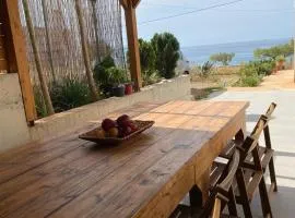 Nikitas house