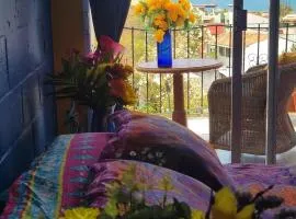 Frida Inspired Oceanview Old Town, Centro Vallarta Heritage House