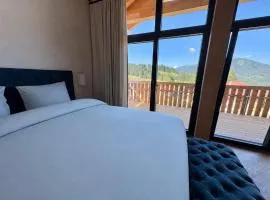 Neue Chalets im Tannheimer Tal