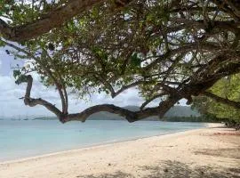 Le Toutapied , Sainte-Anne, appartement en plein centre