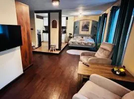Forest Loft Studio - apartament nr 6