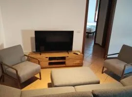 Il Fenicottero