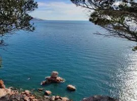 Apartmani Punoš