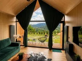 The Landscape Barn Homes