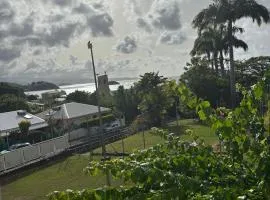 Appartement T2 Vue Mer et Piscine - Tartane
