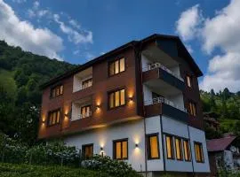 Family Suite Apart Hotel Çamlıhemşin