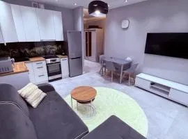 Apartament Chopina Park