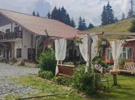 Pensiunea Trei Brazi Arieseni