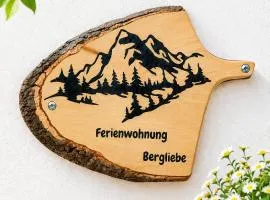Bergliebe - Panoramablick