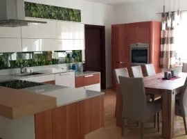 Modernes 3-Zimmer-Apartment nahe Graz
