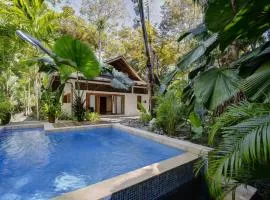 Nirvana House