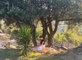 Le Castellas - Gîte en pleine Nature