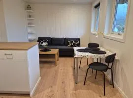 Studio apartment by fjords and mountains