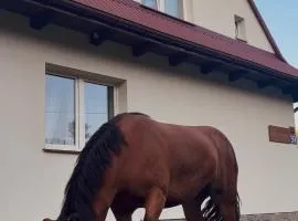 Apartamenty & Domek Gawędówka