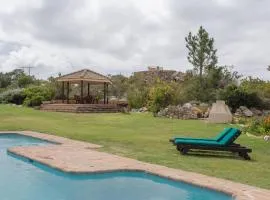 Barton Blue Crane near Hermanus Pool Hot Tub