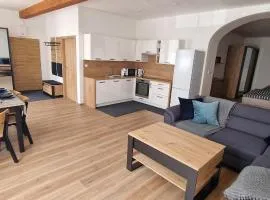 Apartmán Rejštejn - Zlatá stezka