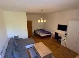 Cozy & Spacious Apartment near Tram