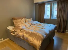 In the middle of the fair Stryn - large modern apartment!