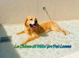 B&B La Chicca di Milu' for Pet Lovers, un'oasi pet-friendly tra mare e campagna