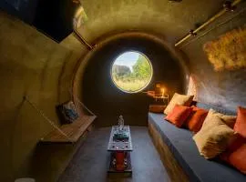 Le Nautilus