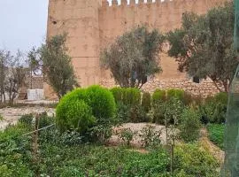 Cooperative Kasbah ben hammadi