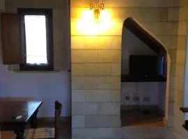 Le 3 tartarughe