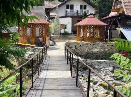 Podul De Brazi, hotel v destinácii Cîrţişoara