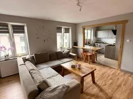 Apartament nad jeziorem Bielawskim