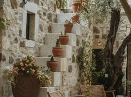 Ha La Bodrum