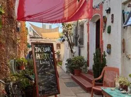Jaguar Hostel