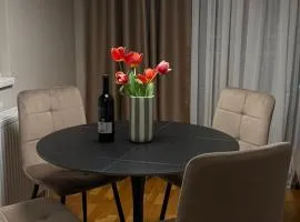 Apartman Laki