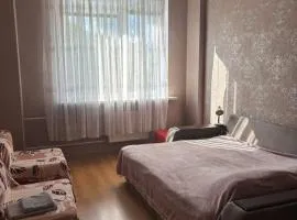 Квартира річка Стир